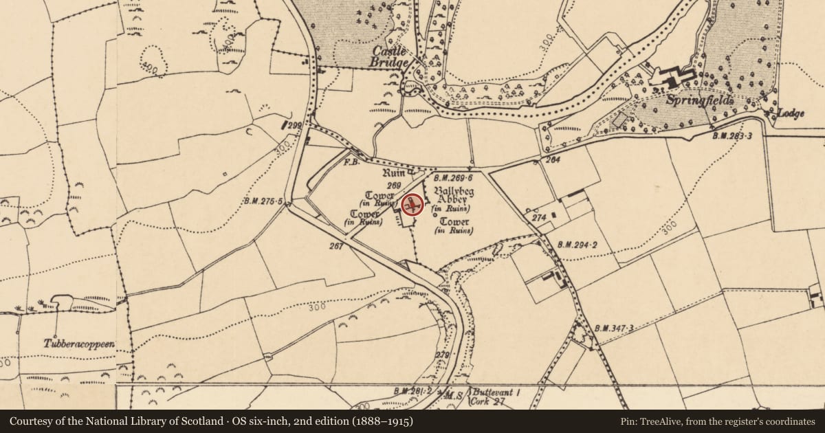 Ordnance Survey six-inch map, 2nd edition (1888–1915) covering the location of Religious house - Augustinian canons, Ballybeg West, County Cork, with a pin at the register's coordinates