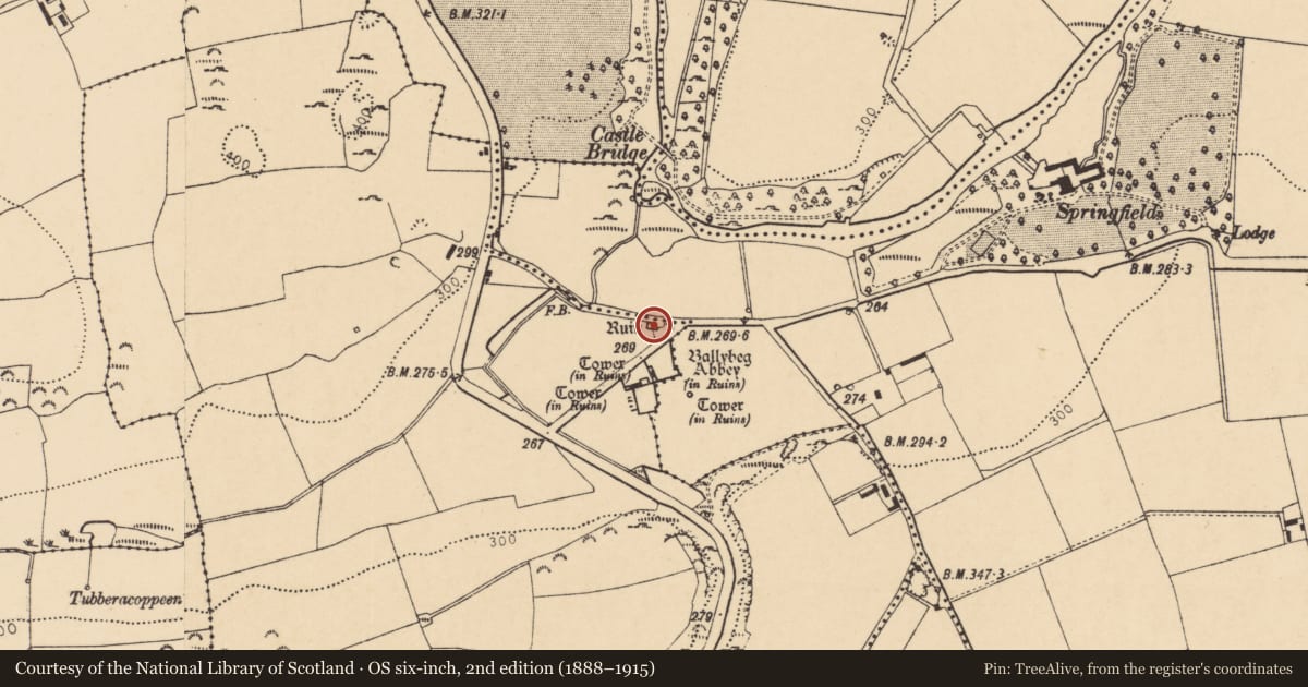 Ordnance Survey six-inch map, 2nd edition (1888–1915) covering the location of Castle - unclassified, Ballybeg West, County Cork, with a pin at the register's coordinates
