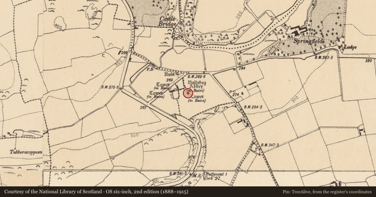Ordnance Survey six-inch map, 2nd edition (1888–1915) covering the location of Dovecote, Ballybeg East, County Cork, with a pin at the register's coordinates