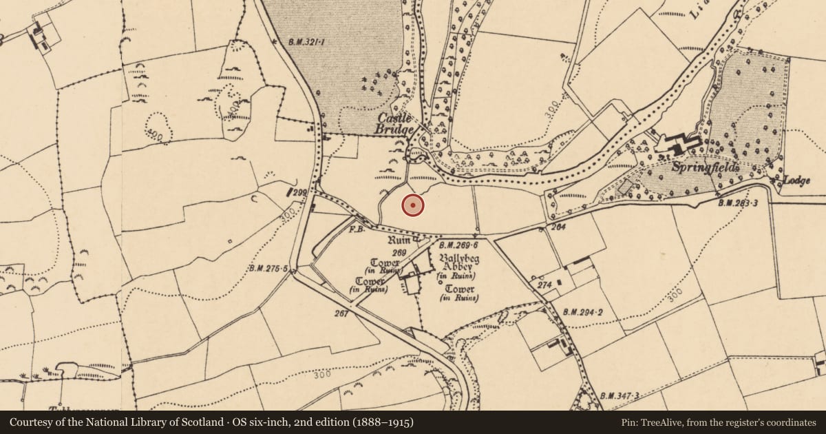 Ordnance Survey six-inch map, 2nd edition (1888–1915) covering the location of Earthwork, Ballybeg East, County Cork, with a pin at the register's coordinates