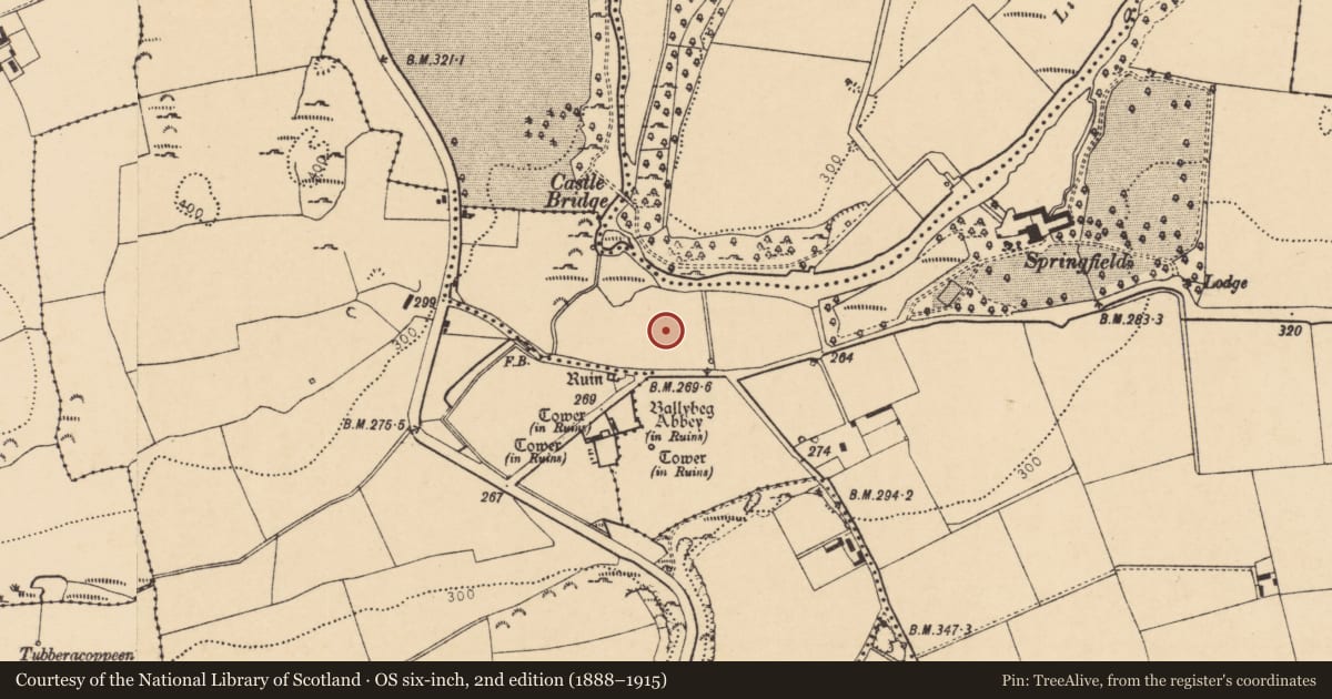 Ordnance Survey six-inch map, 2nd edition (1888–1915) covering the location of Standing stone, Ballybeg East, County Cork, with a pin at the register's coordinates