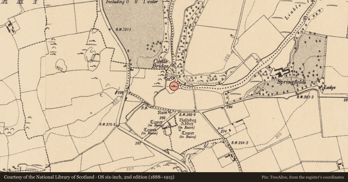 Ordnance Survey six-inch map, 2nd edition (1888–1915) covering the location of Mill - unclassified, Ballybeg East, County Cork, with a pin at the register's coordinates