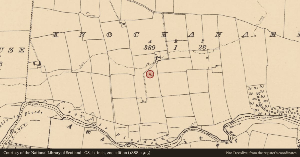 Ordnance Survey six-inch map, 2nd edition (1888–1915) covering the location of Quarry, Knockanare, County Cork, with a pin at the register's coordinates