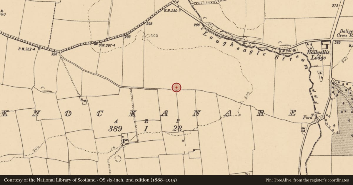 Ordnance Survey six-inch map, 2nd edition (1888–1915) covering the location of Enclosure, Knockanare, County Cork, with a pin at the register's coordinates