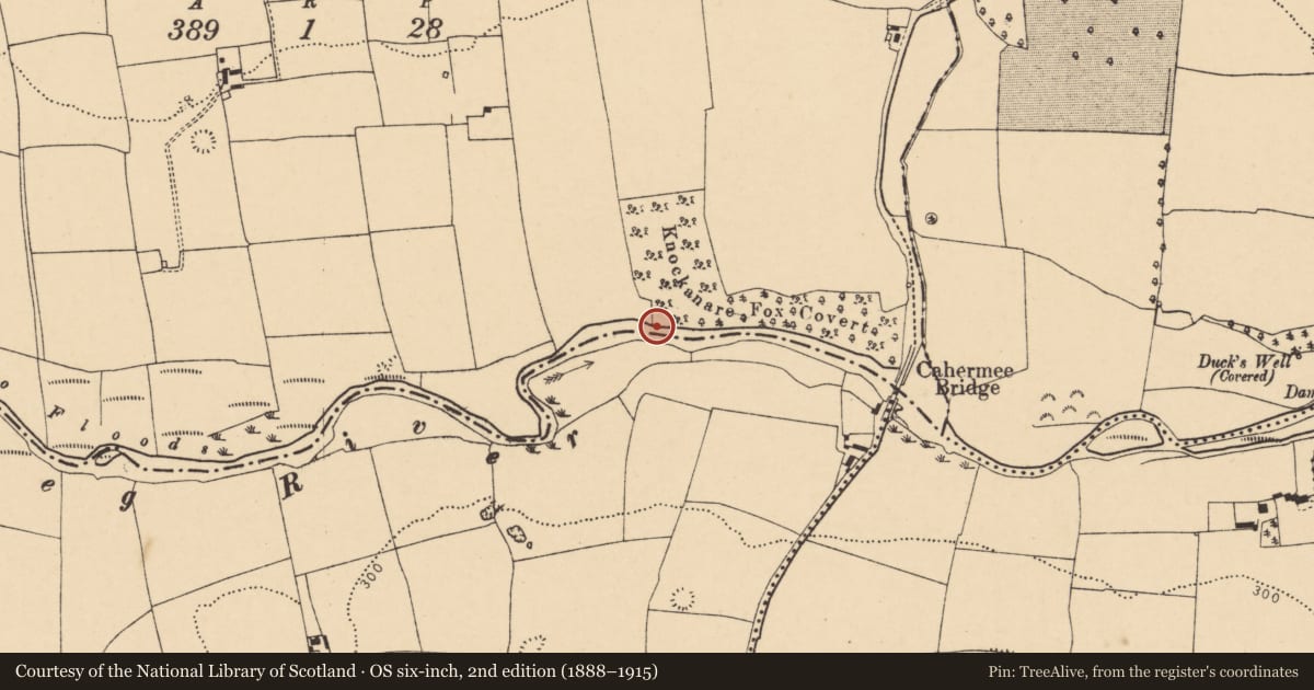 Ordnance Survey six-inch map, 2nd edition (1888–1915) covering the location of Ritual site - holy well, Knockanare, County Cork, with a pin at the register's coordinates