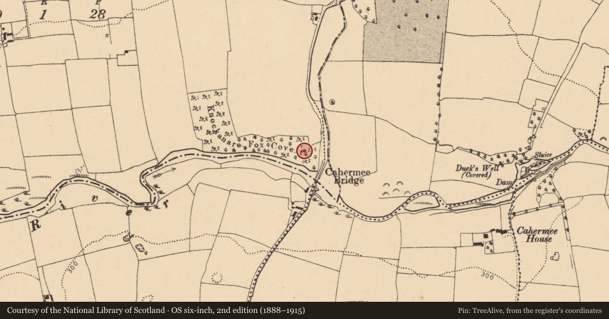 Ordnance Survey six-inch map, 2nd edition (1888–1915) covering the location of Enclosure, Knockanare, County Cork, with a pin at the register's coordinates