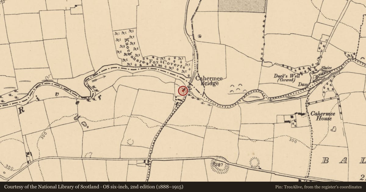 Ordnance Survey six-inch map, 2nd edition (1888–1915) covering the location of Mill - fulling, Lag, County Cork, with a pin at the register's coordinates