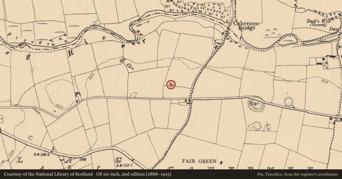 Ordnance Survey six-inch map, 2nd edition (1888–1915) covering the location of Ringfort - rath, Lag, County Cork, with a pin at the register's coordinates