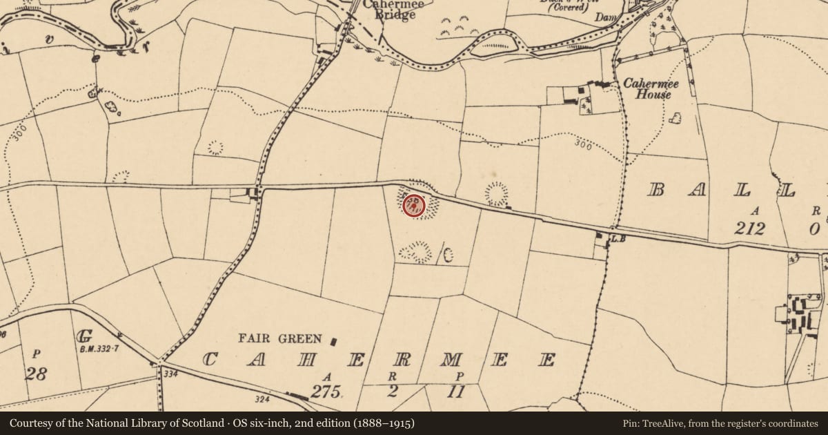 Ordnance Survey six-inch map, 2nd edition (1888–1915) covering the location of Ringfort - rath, Cahermee, County Cork, with a pin at the register's coordinates