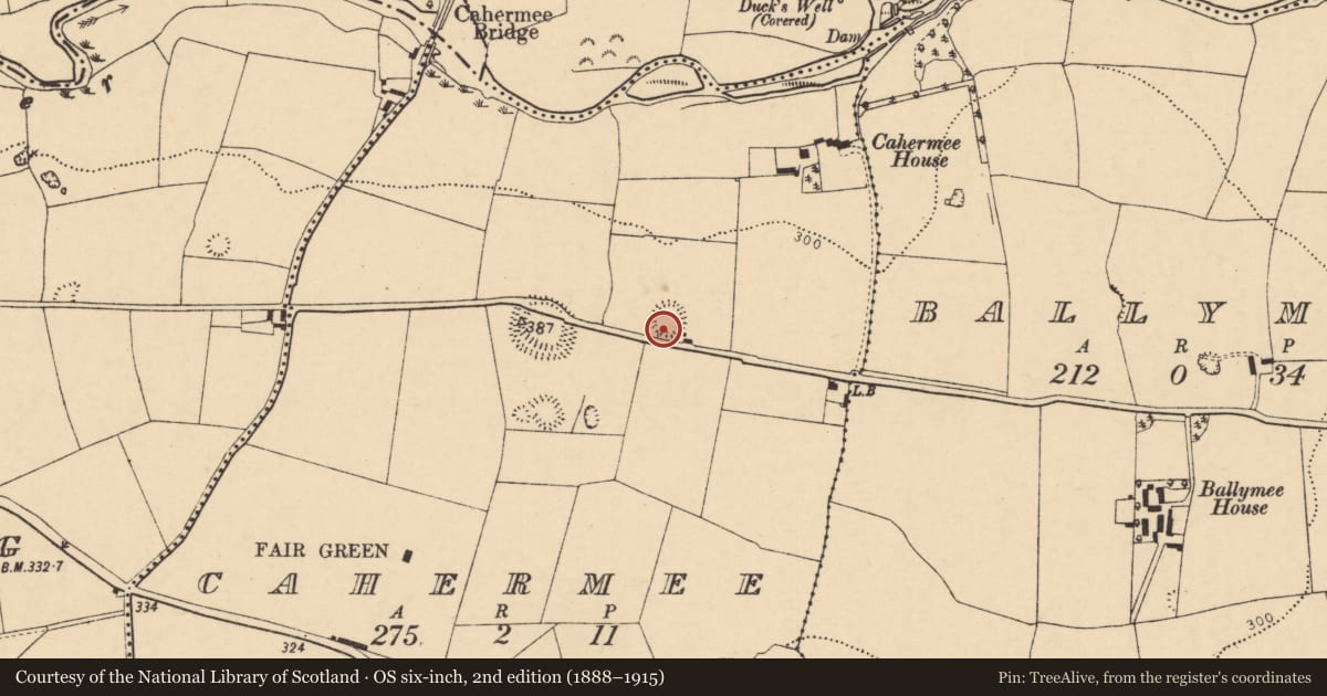 Ordnance Survey six-inch map, 2nd edition (1888–1915) covering the location of Ringfort - rath, Cahermee, County Cork, with a pin at the register's coordinates