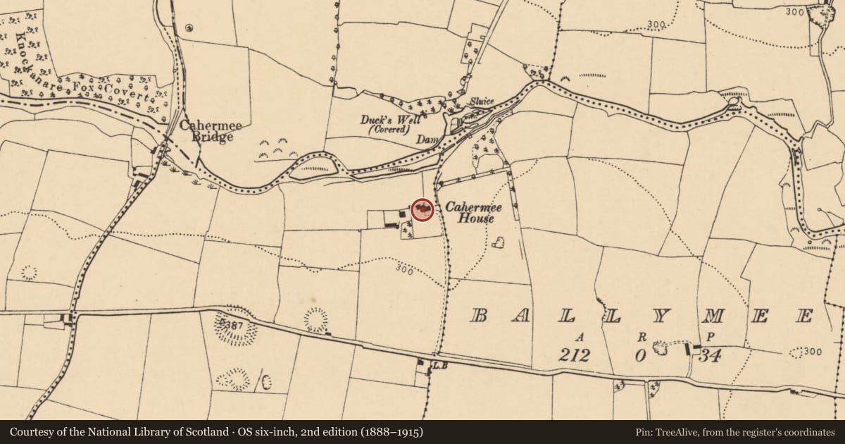 Ordnance Survey six-inch map, 2nd edition (1888–1915) covering the location of Castle - unclassified, Cahermee, County Cork, with a pin at the register's coordinates