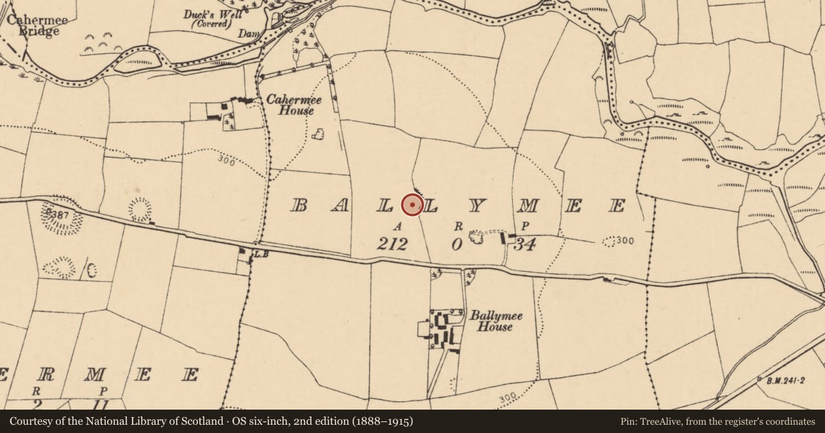 Ordnance Survey six-inch map, 2nd edition (1888–1915) covering the location of Ringfort - rath, Ballymee, County Cork, with a pin at the register's coordinates
