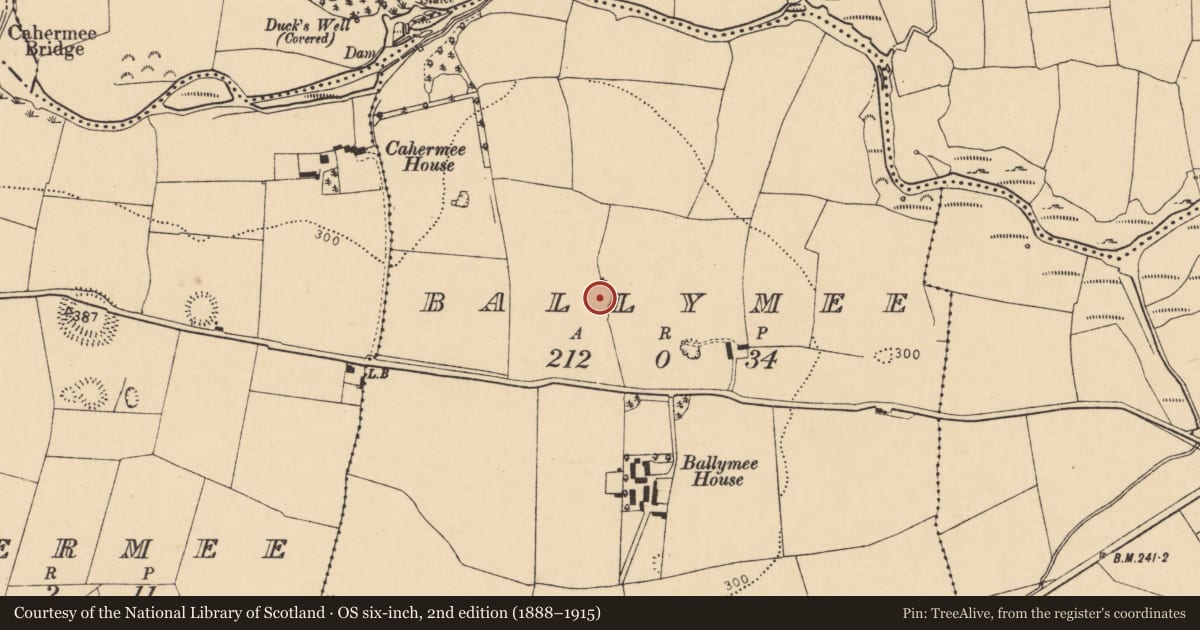 Ordnance Survey six-inch map, 2nd edition (1888–1915) covering the location of Field system, Ballymee, County Cork, with a pin at the register's coordinates