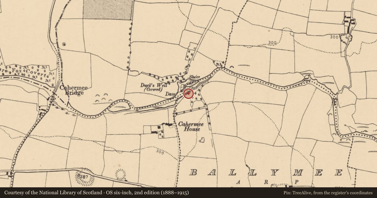 Ordnance Survey six-inch map, 2nd edition (1888–1915) covering the location of Mill - fulling, Ballymee, County Cork, with a pin at the register's coordinates