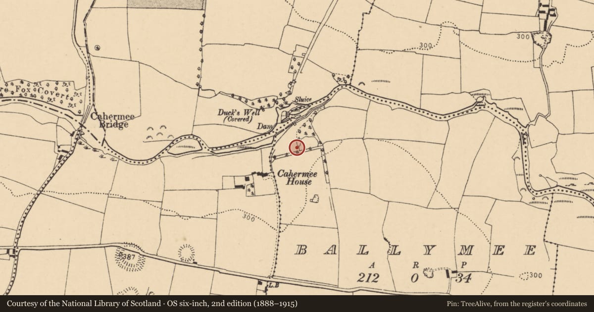 Ordnance Survey six-inch map, 2nd edition (1888–1915) covering the location of Mill - fulling, Ballymee, County Cork, with a pin at the register's coordinates