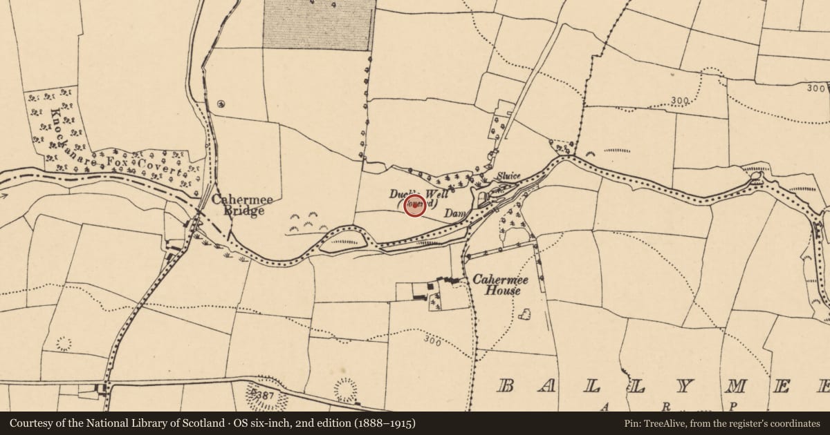 Ordnance Survey six-inch map, 2nd edition (1888–1915) covering the location of Fulacht fia, Ballyellis (Fermoy By., Doneraile Par.), County Cork, with a pin at the register's coordinates