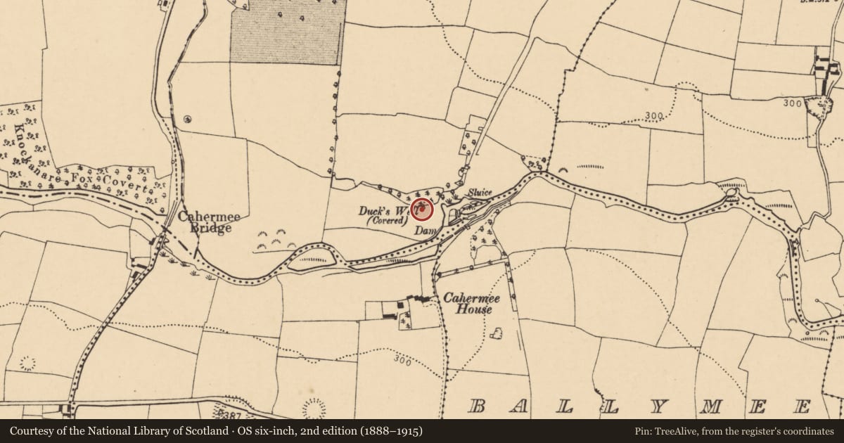 Ordnance Survey six-inch map, 2nd edition (1888–1915) covering the location of Ritual site - holy well, Ballyellis (Fermoy By., Doneraile Par.), County Cork, with a pin at the register's coordinates