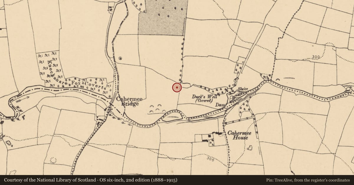 Ordnance Survey six-inch map, 2nd edition (1888–1915) covering the location of Fulacht fia, Ballyellis (Fermoy By., Doneraile Par.), County Cork, with a pin at the register's coordinates