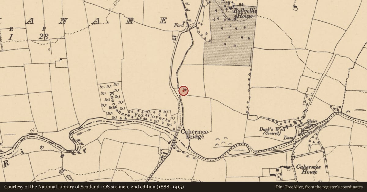 Ordnance Survey six-inch map, 2nd edition (1888–1915) covering the location of Enclosure, Ballyellis (Fermoy By., Doneraile Par.), County Cork, with a pin at the register's coordinates