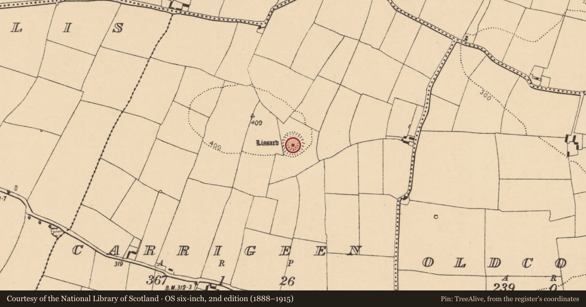 Ordnance Survey six-inch map, 2nd edition (1888–1915) covering the location of Souterrain, Carrigeen, County Cork, with a pin at the register's coordinates