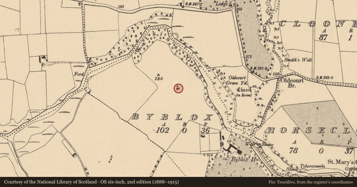 Ordnance Survey six-inch map, 2nd edition (1888–1915) covering the location of Ringfort - rath, Byblox, County Cork, with a pin at the register's coordinates