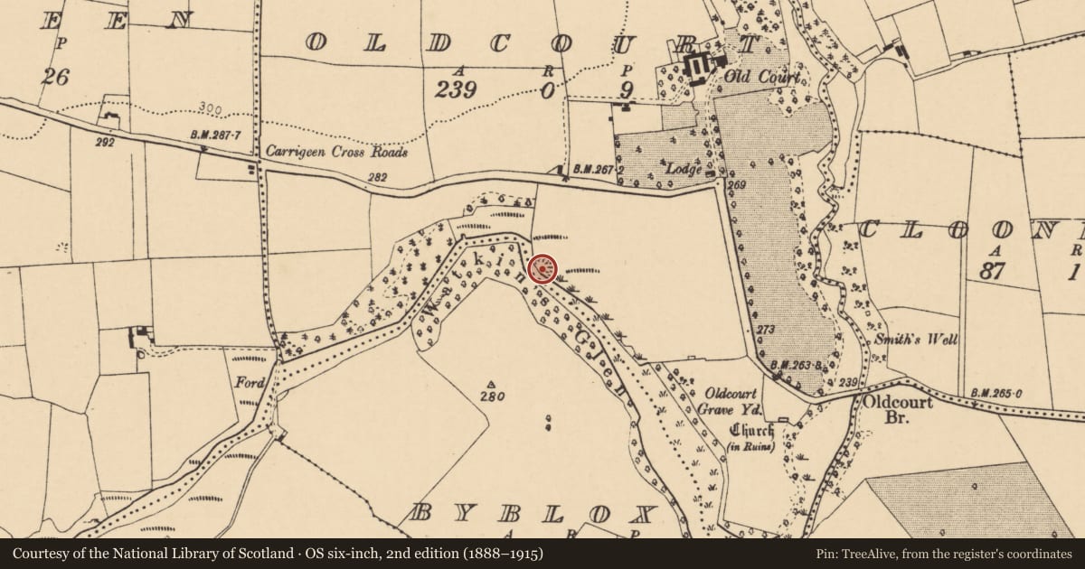 Ordnance Survey six-inch map, 2nd edition (1888–1915) covering the location of Earthwork, Oldcourt, County Cork, with a pin at the register's coordinates