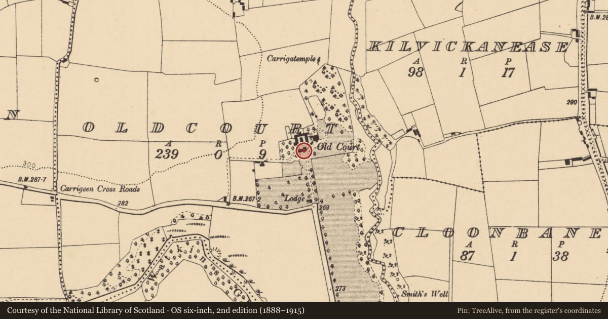 Ordnance Survey six-inch map, 2nd edition (1888–1915) covering the location of Country house, Oldcourt, County Cork, with a pin at the register's coordinates