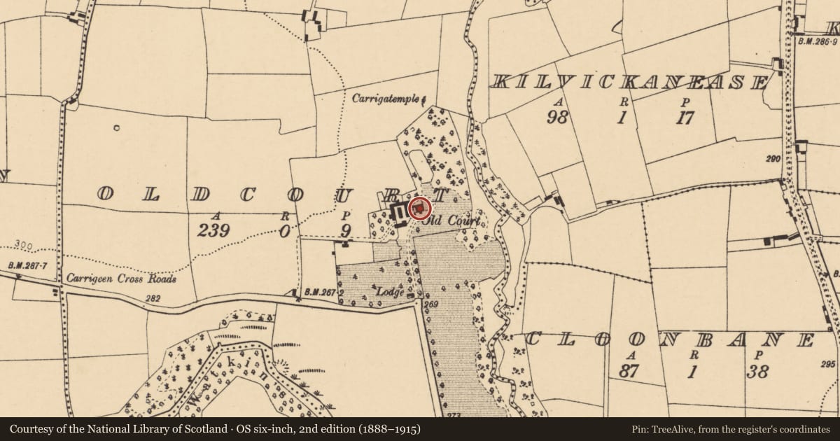 Ordnance Survey six-inch map, 2nd edition (1888–1915) covering the location of Country house, Oldcourt, County Cork, with a pin at the register's coordinates