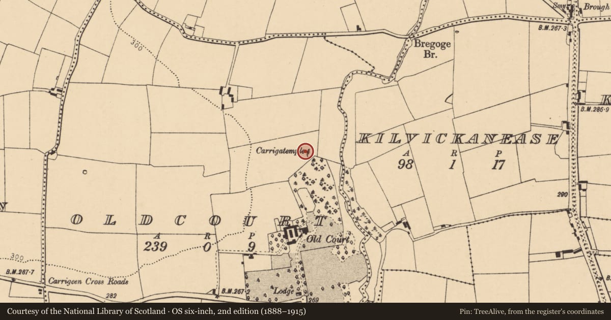 Ordnance Survey six-inch map, 2nd edition (1888–1915) covering the location of Church, Oldcourt, County Cork, with a pin at the register's coordinates