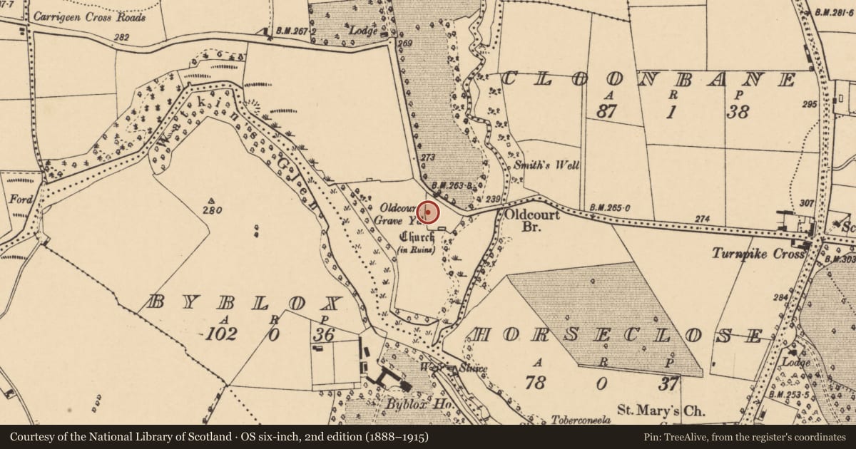 Ordnance Survey six-inch map, 2nd edition (1888–1915) covering the location of Graveyard, Oldcourt, County Cork, with a pin at the register's coordinates