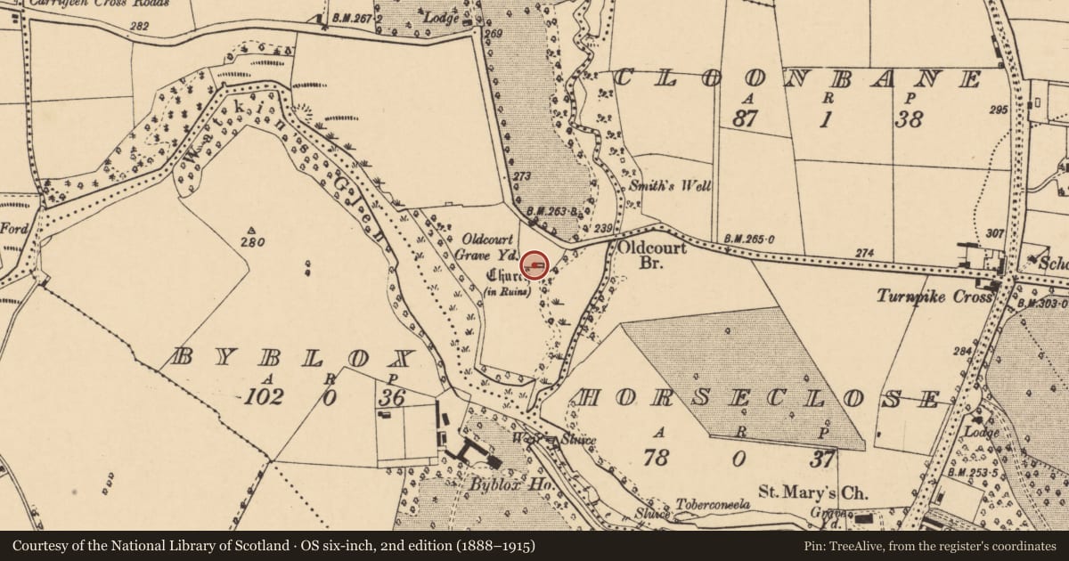 Ordnance Survey six-inch map, 2nd edition (1888–1915) covering the location of Church, Oldcourt, County Cork, with a pin at the register's coordinates