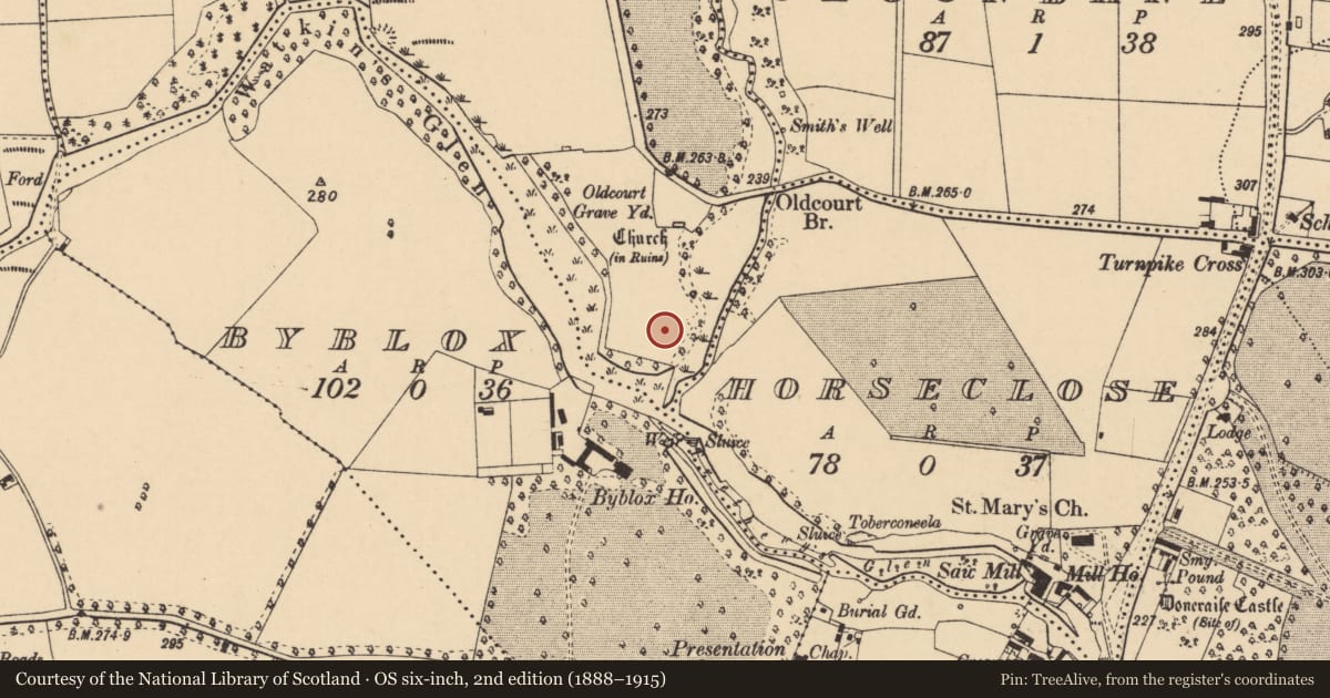 Ordnance Survey six-inch map, 2nd edition (1888–1915) covering the location of Promontory fort - inland, Oldcourt, County Cork, with a pin at the register's coordinates