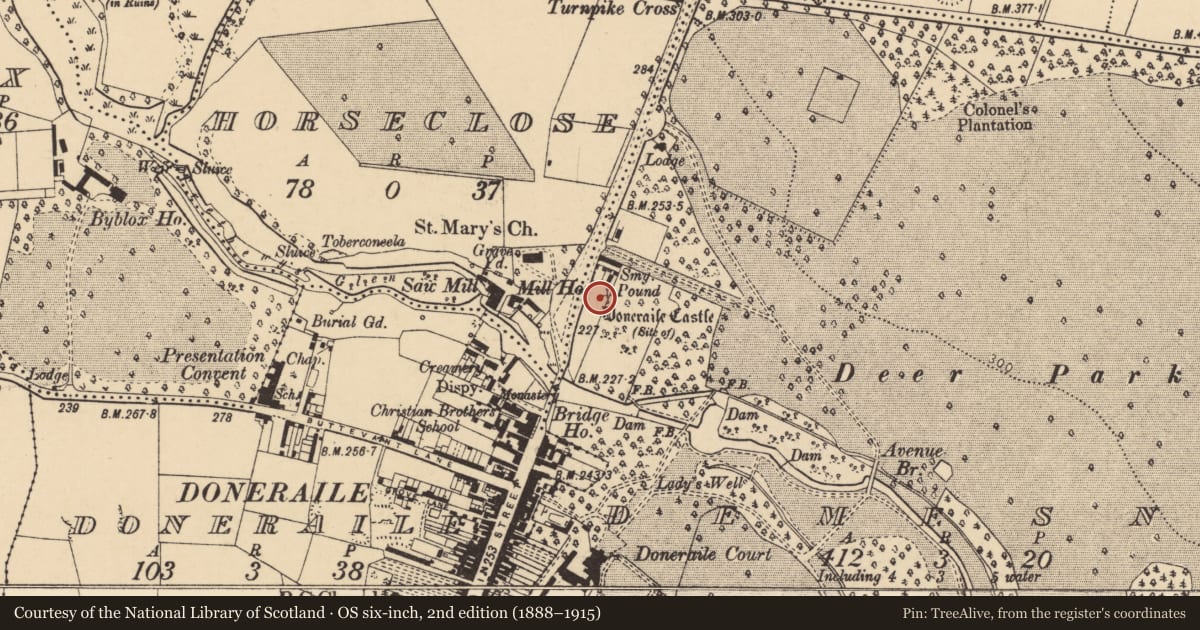 Ordnance Survey six-inch map, 2nd edition (1888–1915) covering the location of Castle - unclassified, Demesne, County Cork, with a pin at the register's coordinates