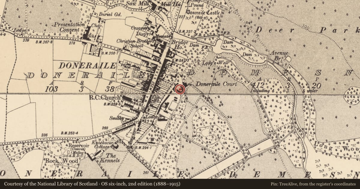 Ordnance Survey six-inch map, 2nd edition (1888–1915) covering the location of Country house, Demesne, County Cork, with a pin at the register's coordinates