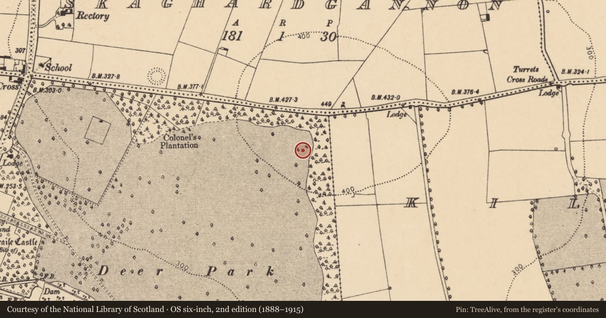 Ordnance Survey six-inch map, 2nd edition (1888–1915) covering the location of Ringfort - rath, Demesne, County Cork, with a pin at the register's coordinates