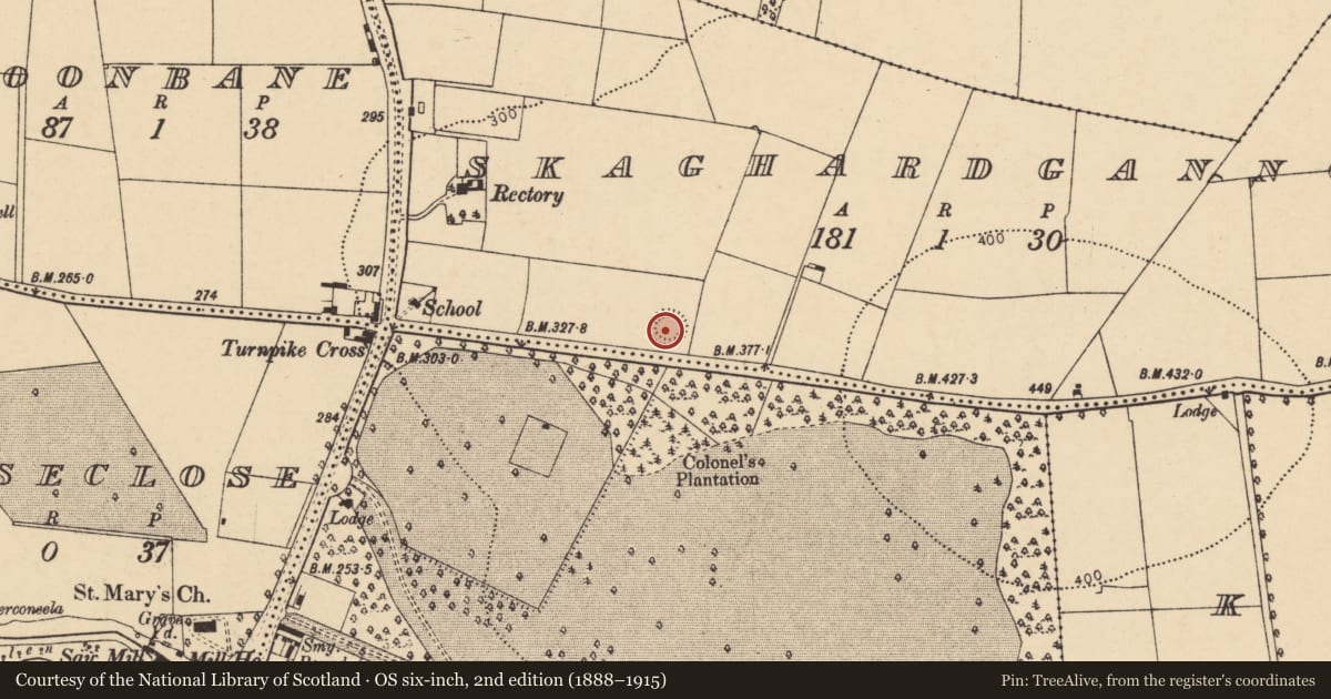 Ordnance Survey six-inch map, 2nd edition (1888–1915) covering the location of Ringfort - rath, Skaghardgannon, County Cork, with a pin at the register's coordinates