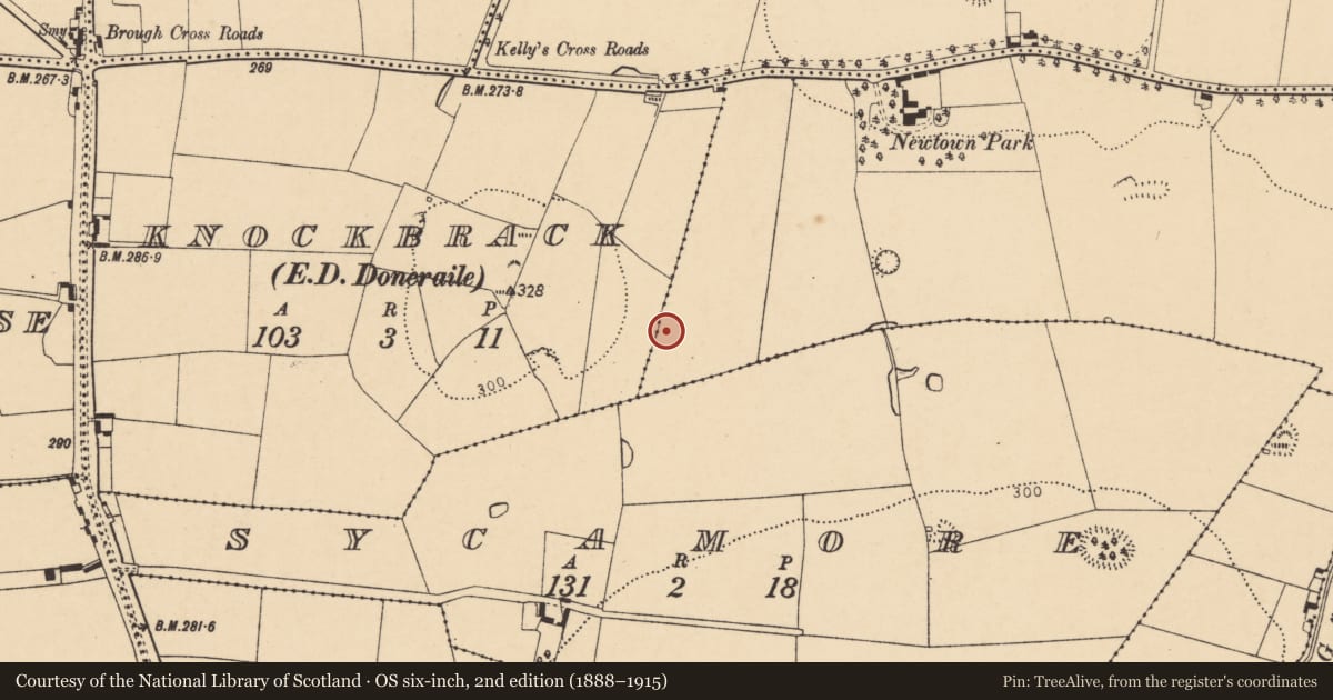 Ordnance Survey six-inch map, 2nd edition (1888–1915) covering the location of Ringfort - rath, Carker Beg, County Cork, with a pin at the register's coordinates
