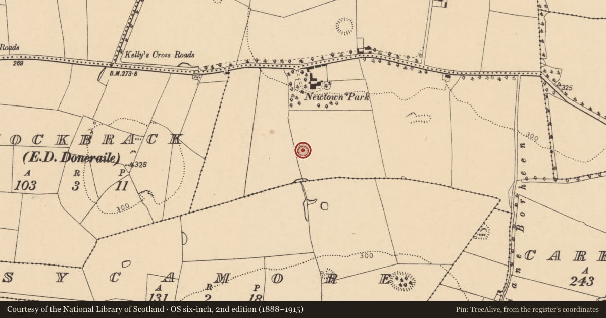 Ordnance Survey six-inch map, 2nd edition (1888–1915) covering the location of Ringfort - rath, Carker Beg, County Cork, with a pin at the register's coordinates