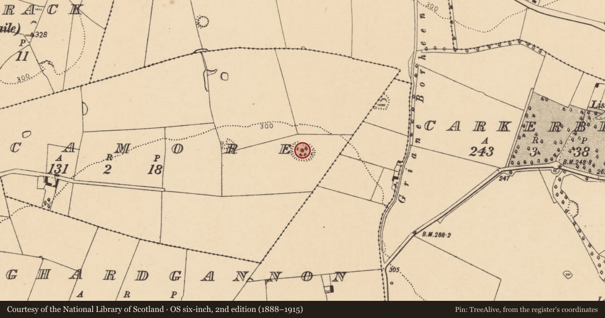 Ordnance Survey six-inch map, 2nd edition (1888–1915) covering the location of Enclosure, Sycamore, County Cork, with a pin at the register's coordinates