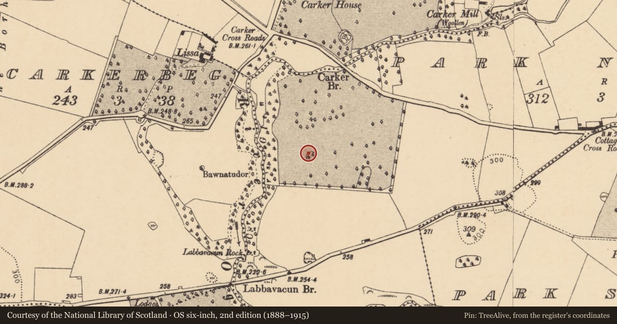 Ordnance Survey six-inch map, 2nd edition (1888–1915) covering the location of Designed landscape - tree-ring, Park North, County Cork, with a pin at the register's coordinates