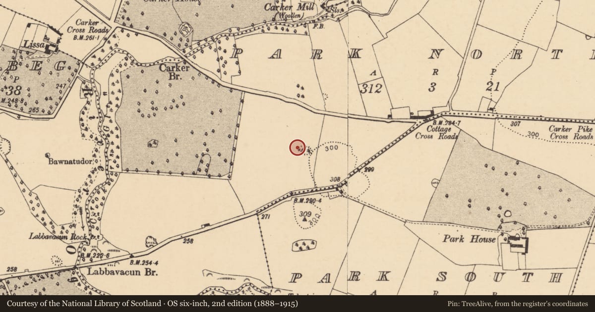 Ordnance Survey six-inch map, 2nd edition (1888–1915) covering the location of Kiln - lime, Park North, County Cork, with a pin at the register's coordinates