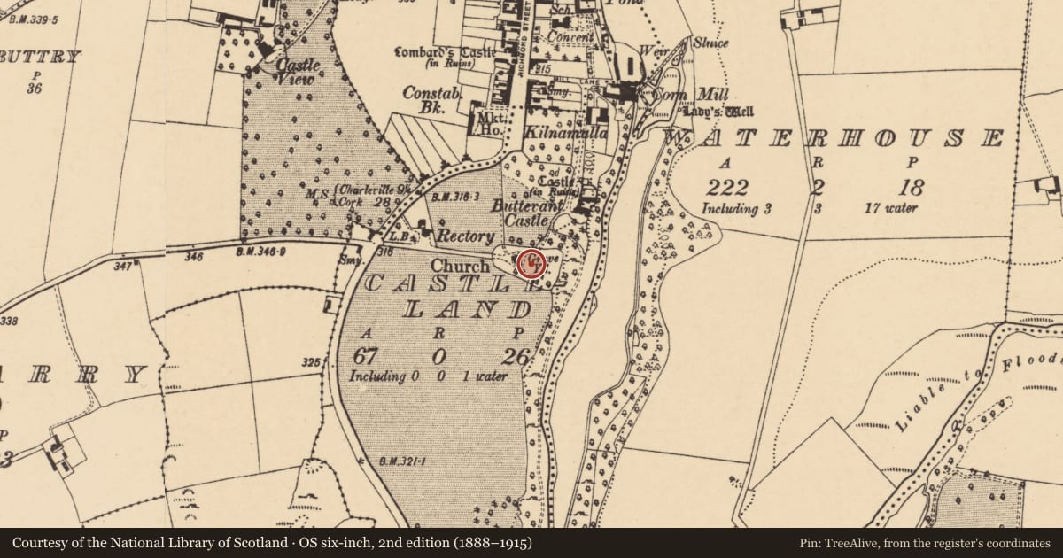 Ordnance Survey six-inch map, 2nd edition (1888–1915) covering the location of Graveyard, Castleland, County Cork, with a pin at the register's coordinates