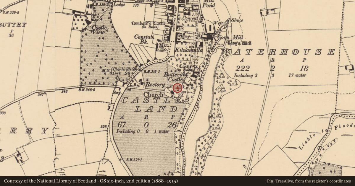 Ordnance Survey six-inch map, 2nd edition (1888–1915) covering the location of Graveslab, Castleland, County Cork, with a pin at the register's coordinates
