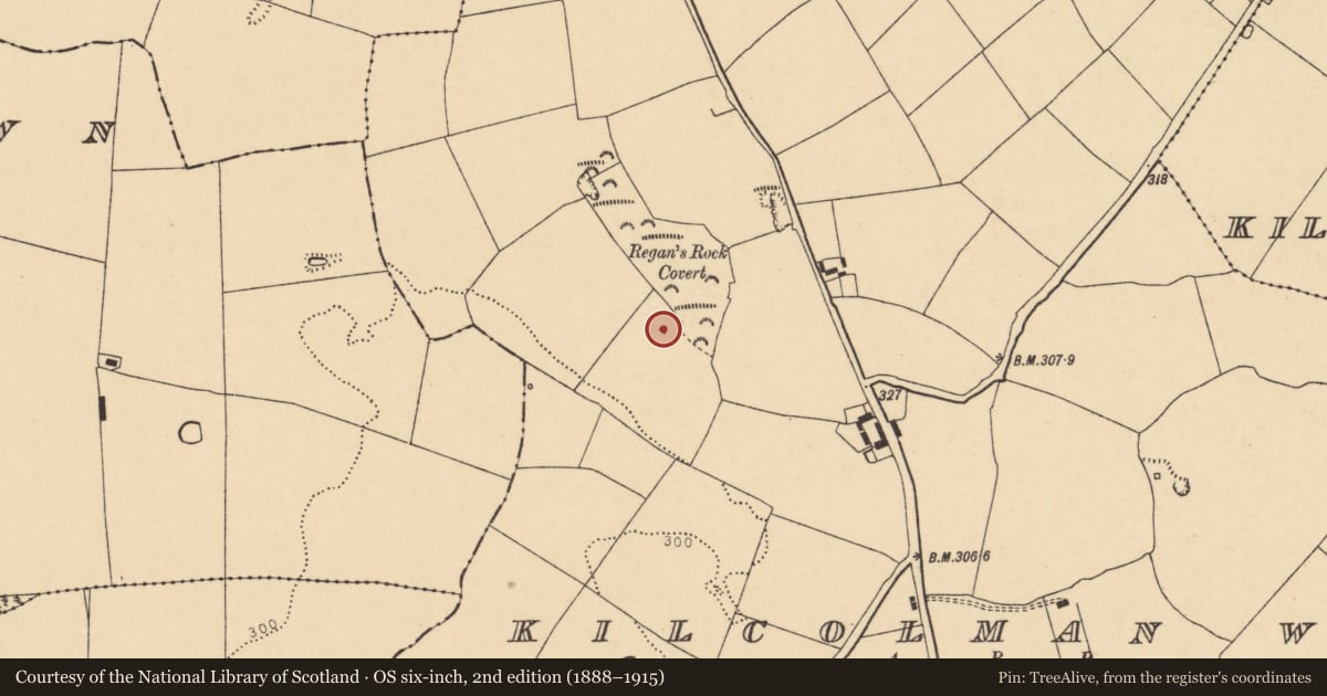Ordnance Survey six-inch map, 2nd edition (1888–1915) covering the location of Kiln - lime, Kilcolman West, County Cork, with a pin at the register's coordinates