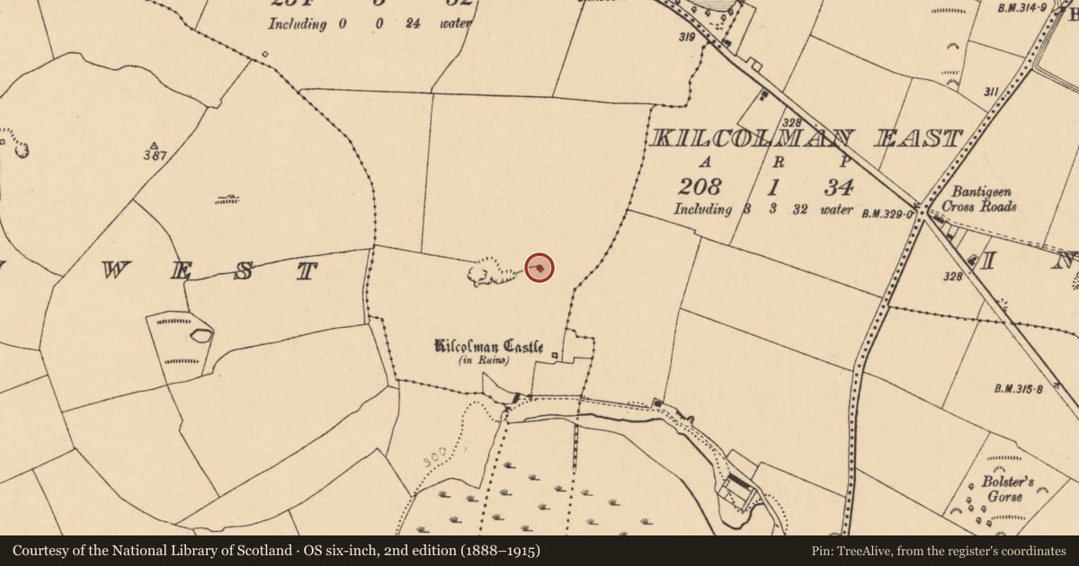 Ordnance Survey six-inch map, 2nd edition (1888–1915) covering the location of Kiln - lime, Kilcolman Middle, County Cork, with a pin at the register's coordinates