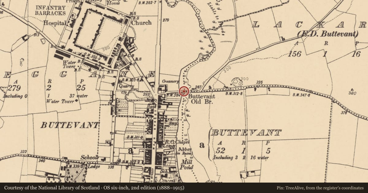 Ordnance Survey six-inch map, 2nd edition (1888–1915) covering the location of Bridge, County Cork, with a pin at the register's coordinates