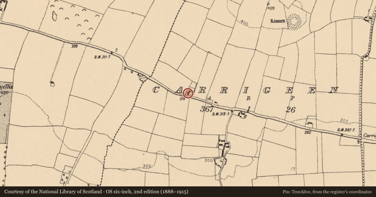 Ordnance Survey six-inch map, 2nd edition (1888–1915) covering the location of House - vernacular house, Carrigeen, County Cork, with a pin at the register's coordinates
