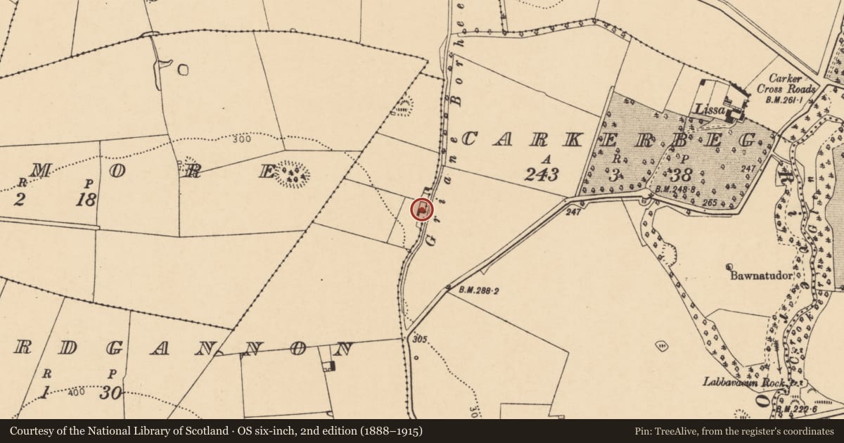 Ordnance Survey six-inch map, 2nd edition (1888–1915) covering the location of House - vernacular house, Skaghardgannon, County Cork, with a pin at the register's coordinates