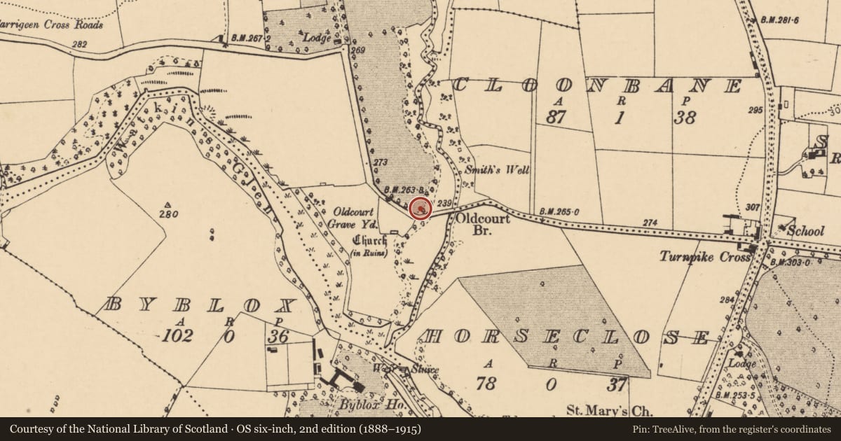 Ordnance Survey six-inch map, 2nd edition (1888–1915) covering the location of Burial ground, Oldcourt, County Cork, with a pin at the register's coordinates
