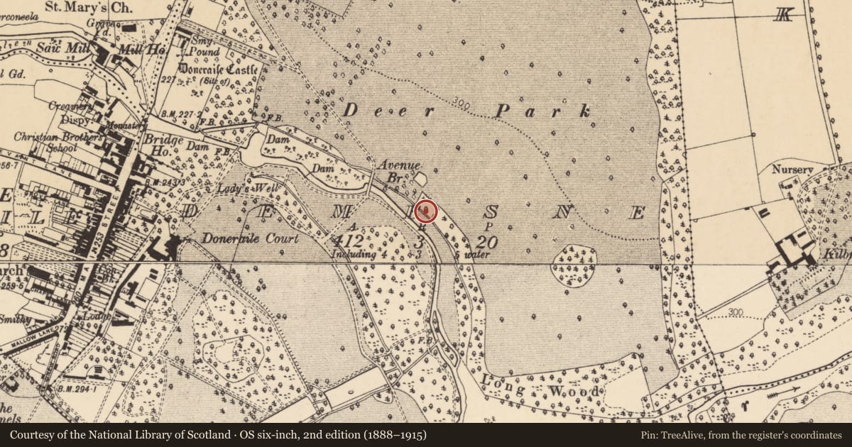 Ordnance Survey six-inch map, 2nd edition (1888–1915) covering the location of Fulacht fia, Demesne, County Cork, with a pin at the register's coordinates